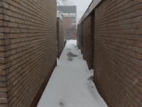 210207 Sneeuw HL 2  Winter in Genemuiden , zondag 7 februari 2021.