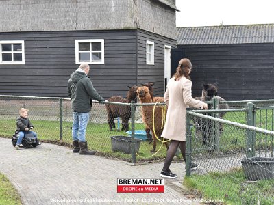 241012_Dierendag_BB_14