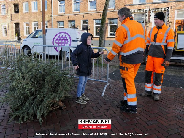 Inleveren kerstbomen in Genemuiden