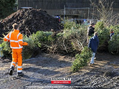 250108_Kerstbomen_HH_3