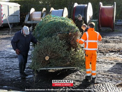 250108_Kerstbomen_HH_5