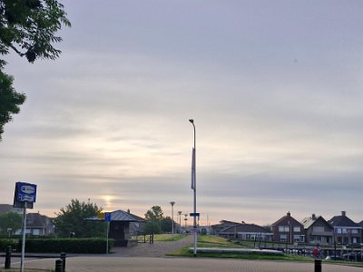 250529_Dauw_JK_2