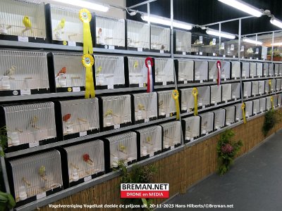 251120_Vogellust_HH_11