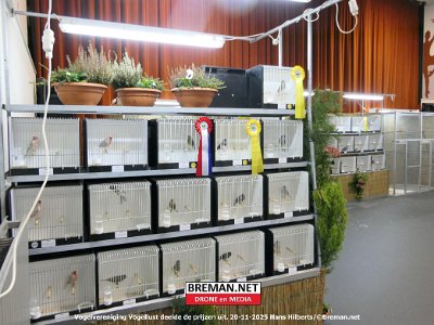 251120_Vogellust_HH_12