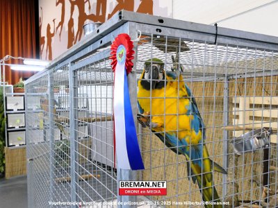 251120_Vogellust_HH_14