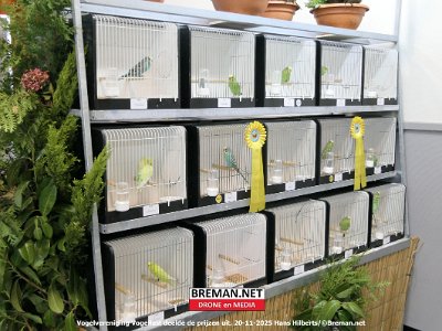 251120_Vogellust_HH_15