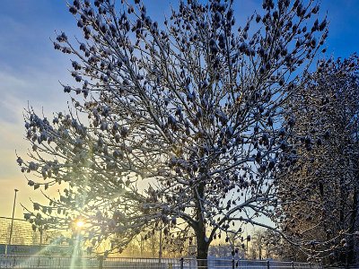 WhatsApp Image 2026-01-06 at 20.15.44 (1)