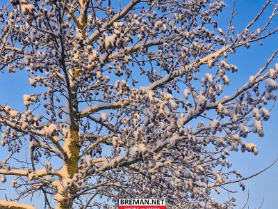 WhatsApp Image 2026-01-06 at 20.15.44