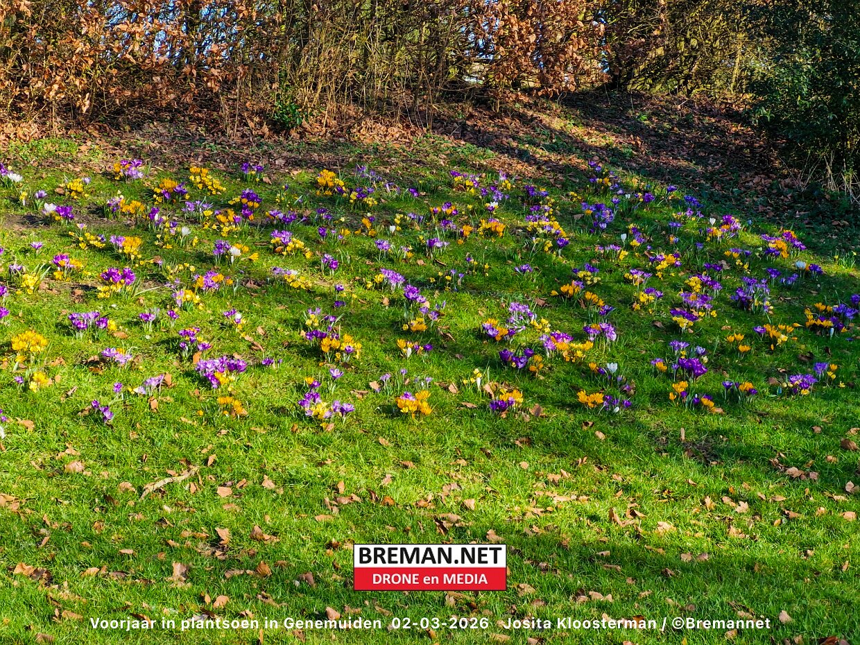 Voorjaar in plantsoen Genemuiden