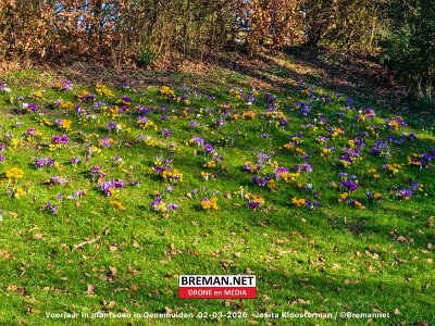 260302_Voorjaar_JK_1