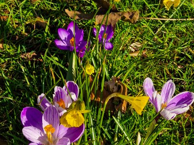 260302_Voorjaar_JK_10