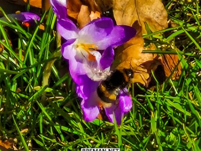 260302_Voorjaar_JK_11