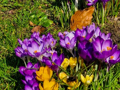 260302_Voorjaar_JK_12