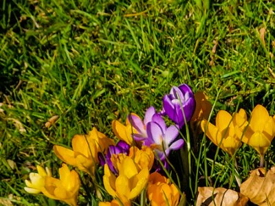 260302_Voorjaar_JK_13