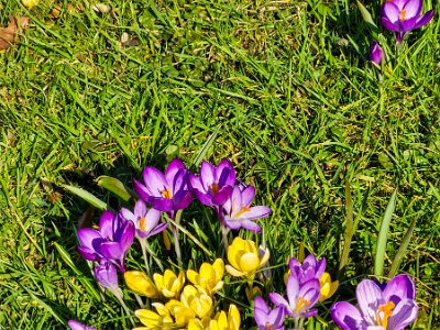 260302_Voorjaar_JK_14