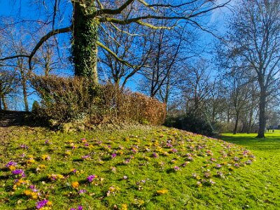 260302_Voorjaar_JK_15