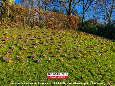 260302_Voorjaar_JK_16