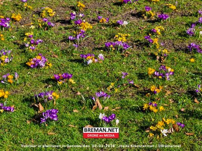 260302_Voorjaar_JK_2