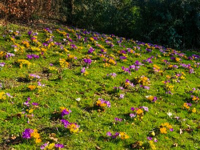 260302_Voorjaar_JK_4