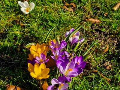 260302_Voorjaar_JK_5