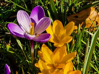 260302_Voorjaar_JK_7