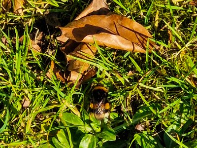 260302_Voorjaar_JK_8