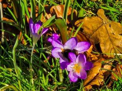 260302_Voorjaar_JK_9