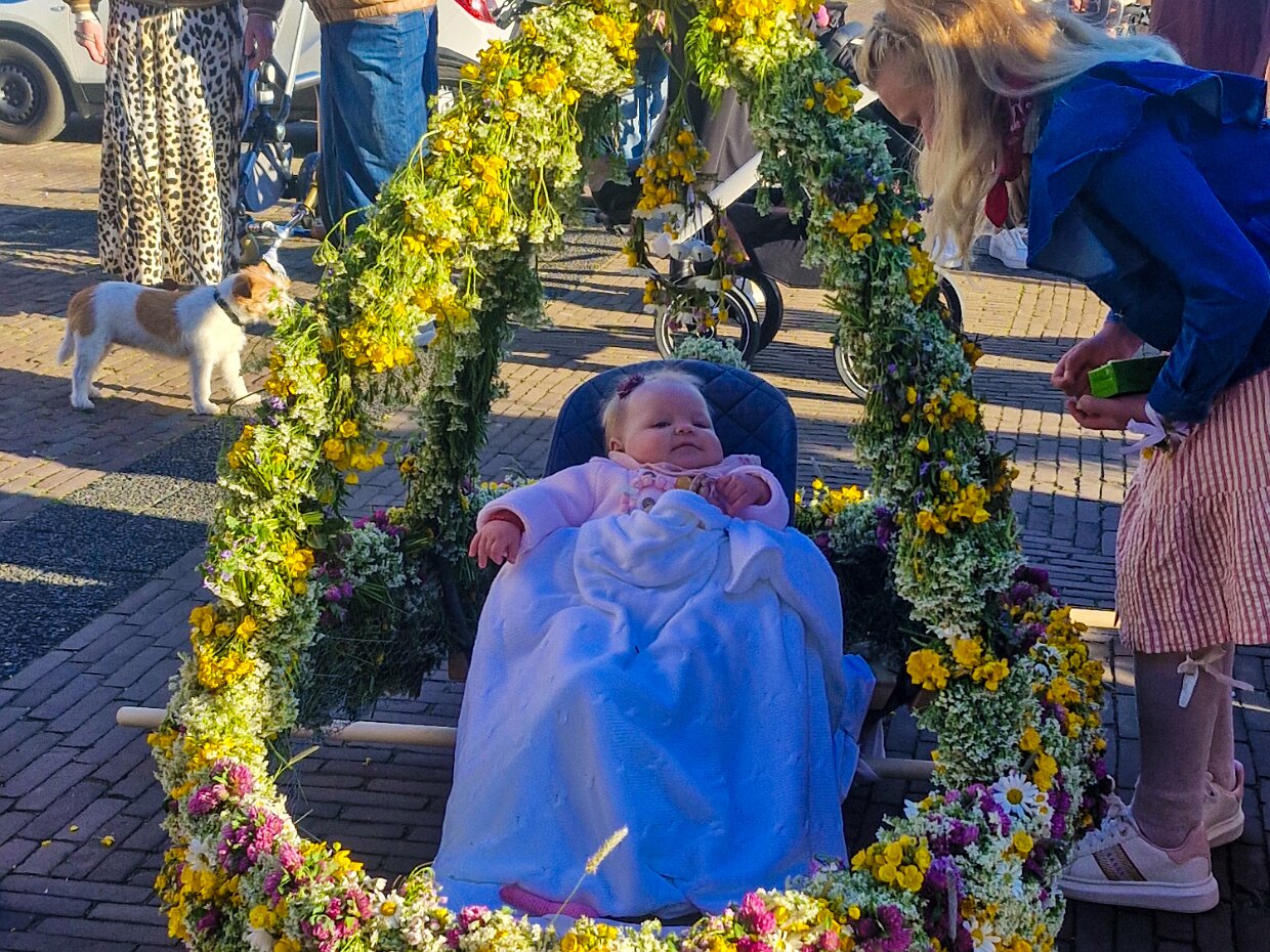 Luitemotte in Genemuiden