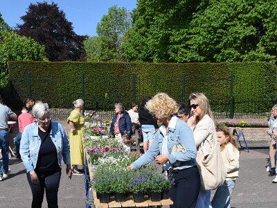 260509_Plantjes_BB_12