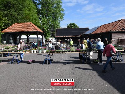 260509_Plantjes_BB_14