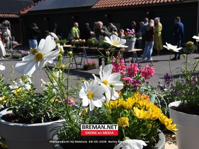 260509_Plantjes_BB_20