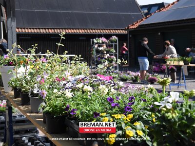 260509_Plantjes_BB_21