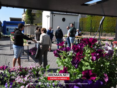 260509_Plantjes_BB_4